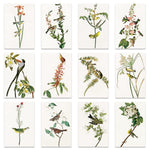 12 Art Greeting Cards Bundle with 12 Envelopes (Flower Series 5) - Berkin Arts