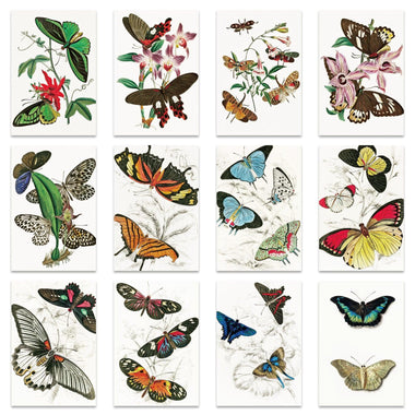 12 Art Greeting Cards Bundle with 12 Envelopes (Flower Series) - Berkin Arts