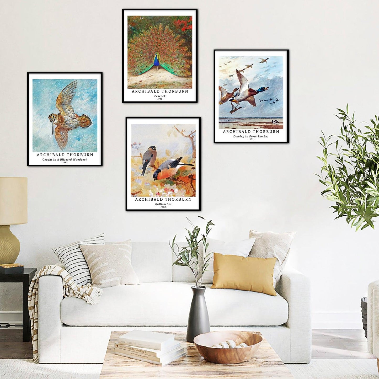 Classical Bird Art Paper Giclee Prints Set of 4 (Archibald Thorburn Series) - Berkin Arts