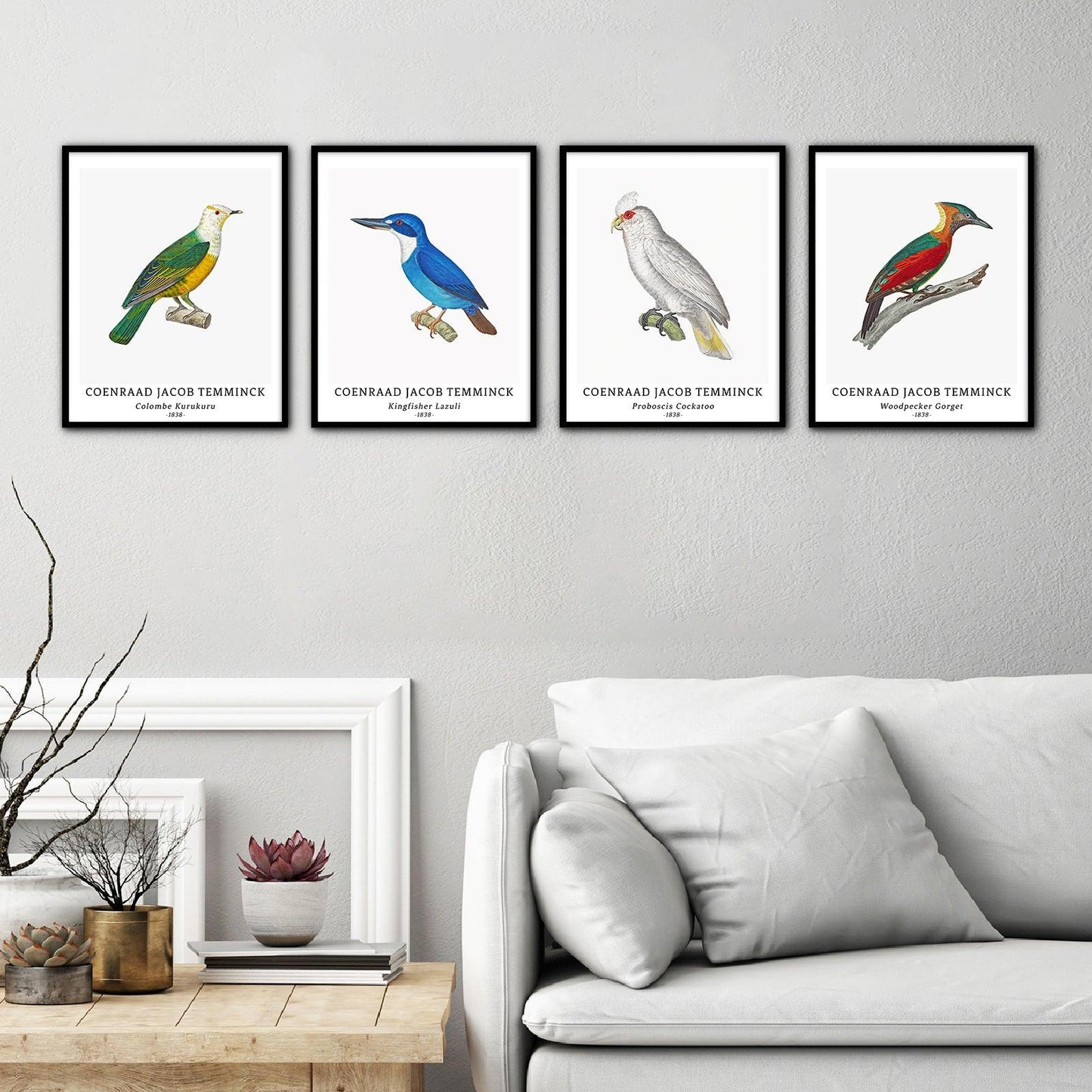 Classical Bird Art Paper Giclee Prints Set of 4 (Coenraad Jacob Temminck Series) - Berkin Arts
