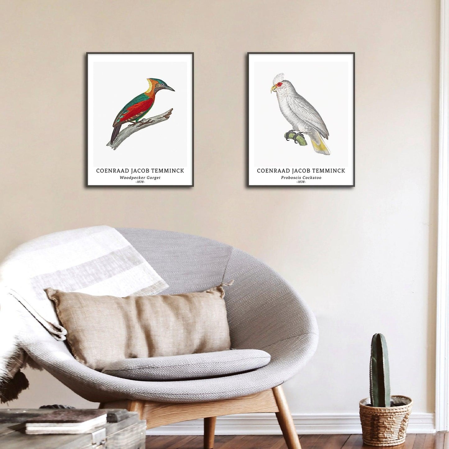 Classical Bird Art Paper Giclee Prints Set of 4 (Coenraad Jacob Temminck Series) - Berkin Arts