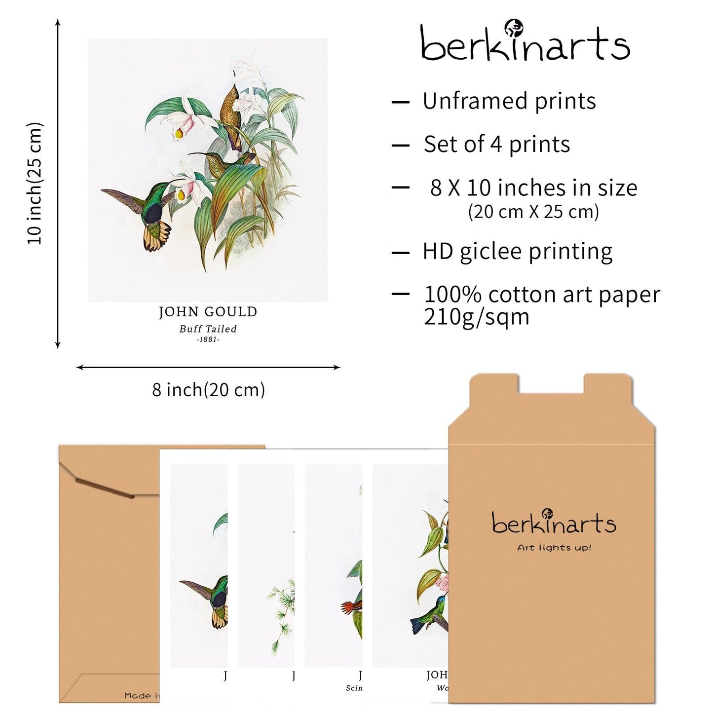 Classical Bird Art Paper Giclee Prints Set of 4 (John Gould Series) - Berkin Arts