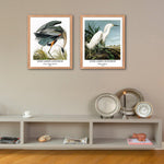 Classical Bird Art Paper Giclee Prints Set of 4 (John James Audubon Series) - Berkin Arts