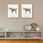Classical Horse Art Paper Giclee Prints Set of 4 (Frederic Remington Series) - Berkin Arts