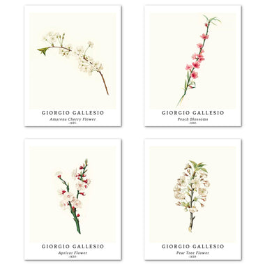 Flower Art Paper Giclee Prints Set of 4 (Giorgio Gallesio Series) - Berkin Arts